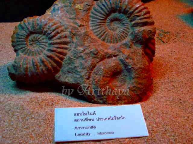 Museum61.JPG